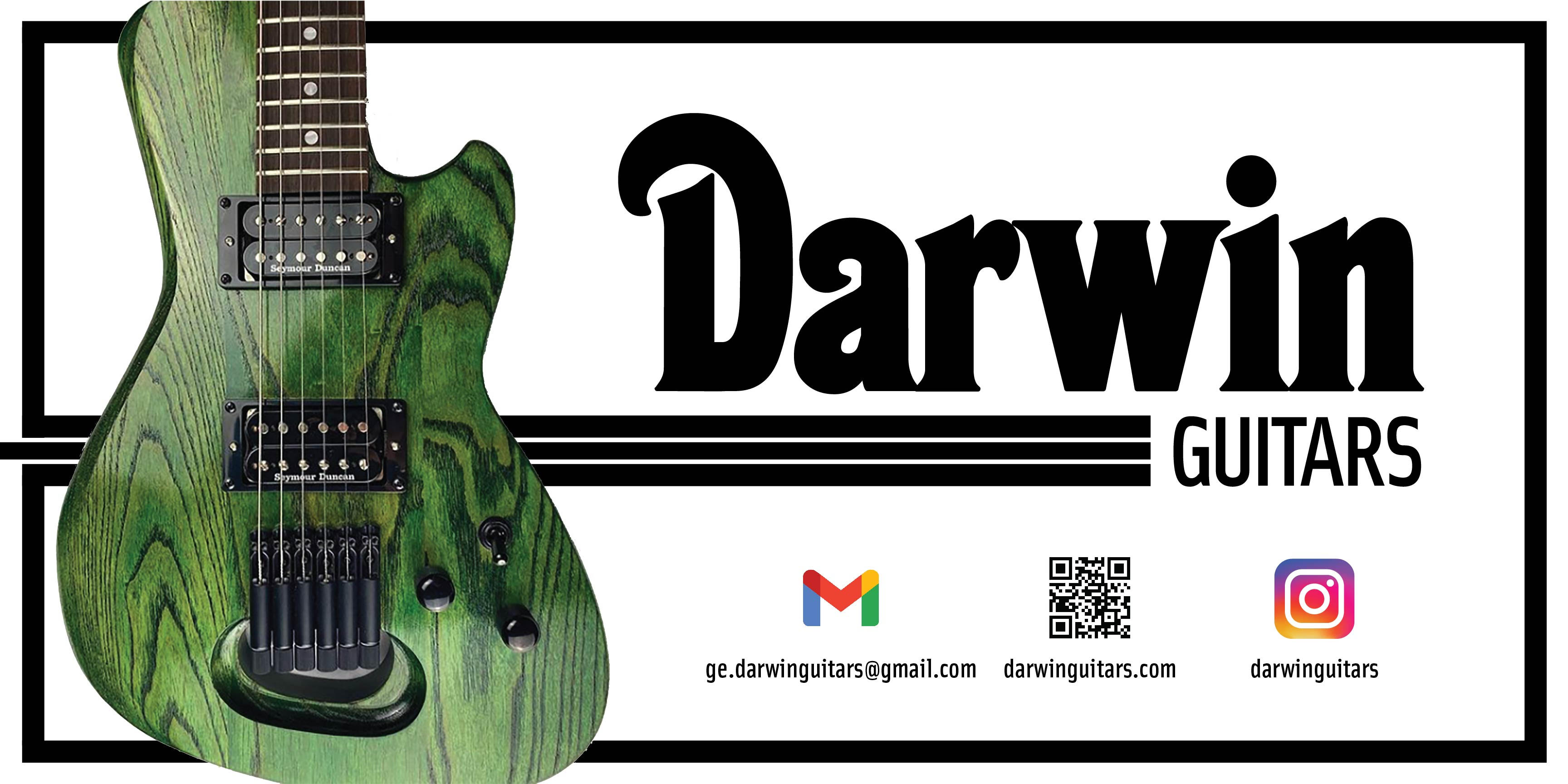 Darwin Guitars